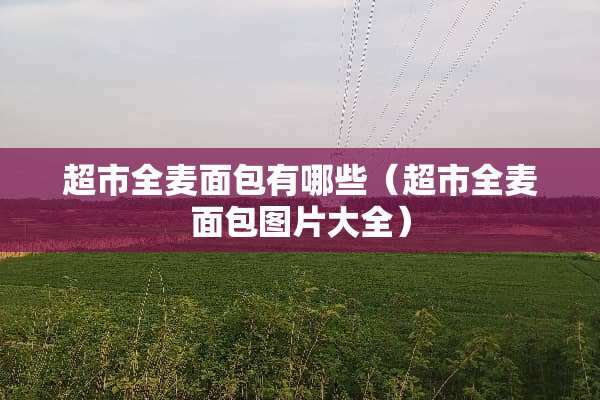 超市全麦面包有哪些（超市全麦面包图片大全）