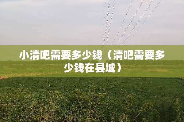 小清吧需要多少钱（清吧需要多少钱在县城）
