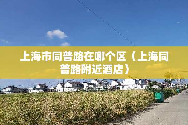 上海市同普路在哪个区（上海同普路附近酒店）