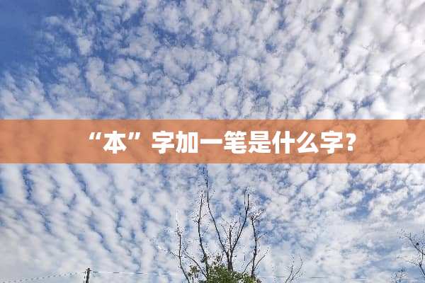 “本”字加一笔是什么字？