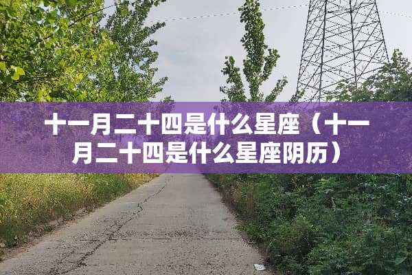 十一月二十四是什么星座（十一月二十四是什么星座阴历）