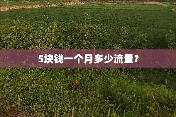 5块钱一个月多少流量？