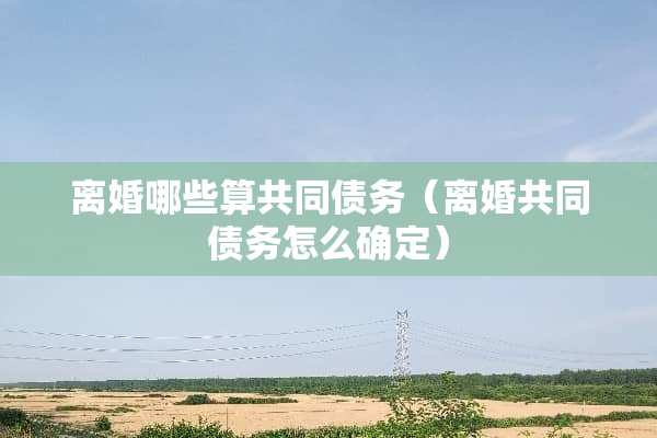 **哪些算共同债务（**共同债务怎么确定）