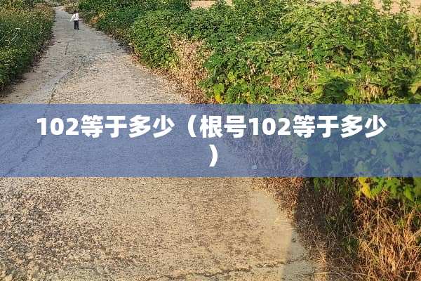 102等于多少（根号102等于多少）