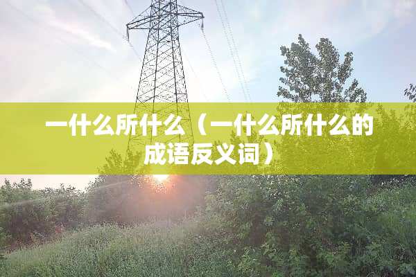 一什么所什么（一什么所什么的成语反义词）