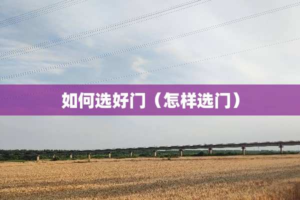 如何选好门（怎样选门）