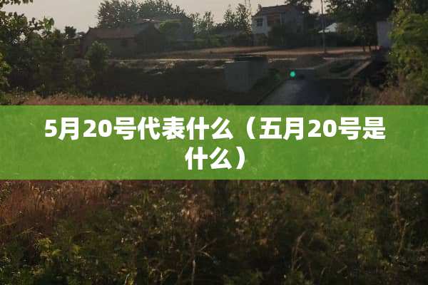 5月20号代表什么（五月20号是什么）