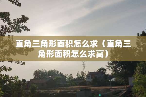 直角三角形面积怎么求（直角三角形面积怎么求高）