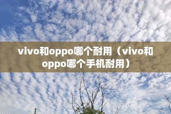 vivo和oppo哪个耐用（vivo和oppo哪个手机耐用）