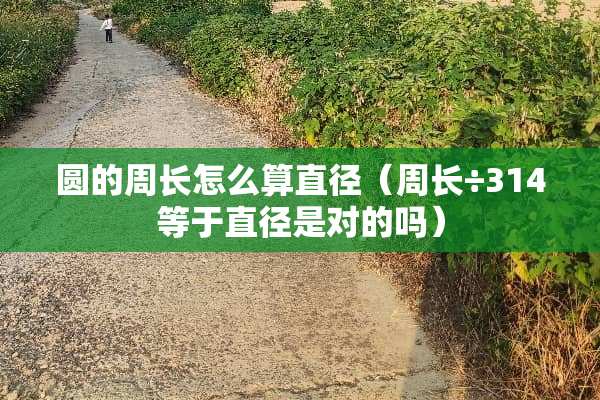 圆的周长怎么算直径（周长÷314等于直径是对的吗）