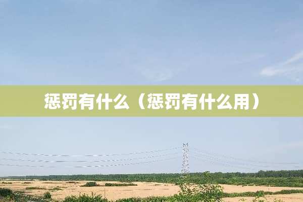 惩罚有什么（惩罚有什么用）