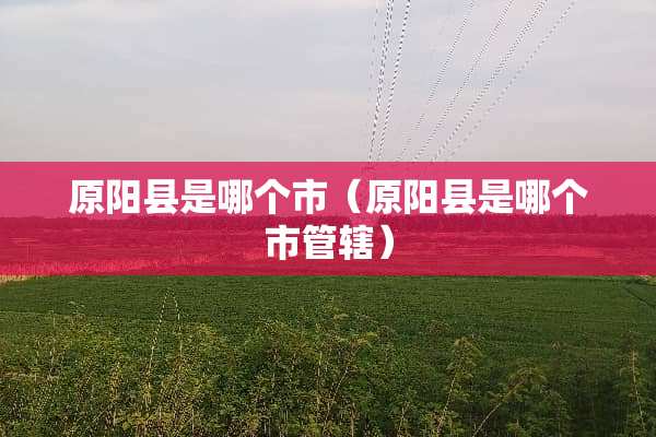 原阳县是哪个市（原阳县是哪个市管辖）