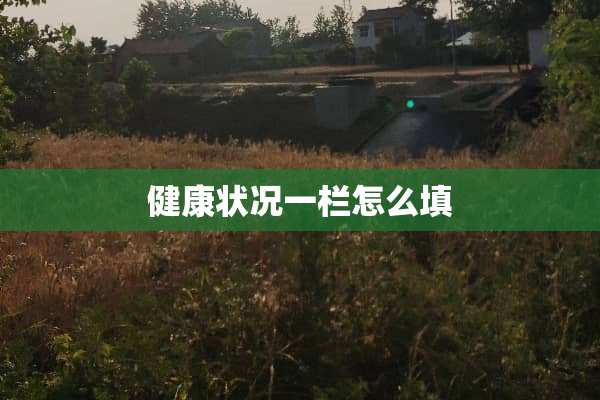 健康状况一栏怎么填