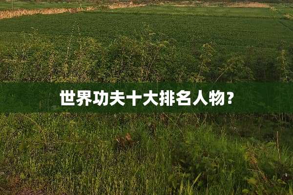 世界功夫十大排名人物？