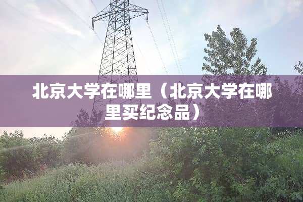 北京大学在哪里（北京大学在哪里买纪念品）