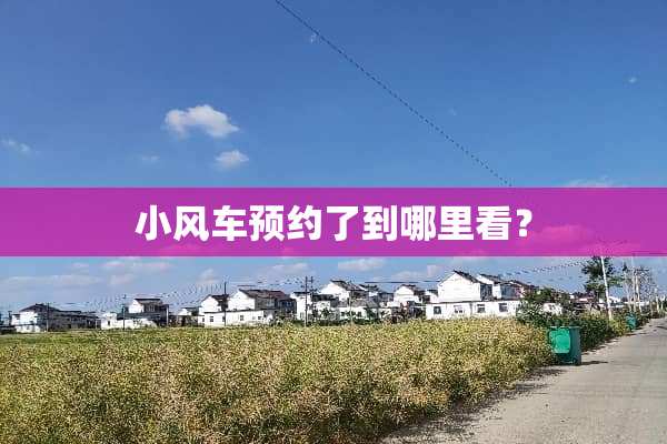 小风车预约了到哪里看？