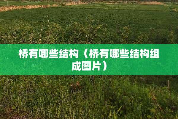 桥有哪些结构（桥有哪些结构组成图片）
