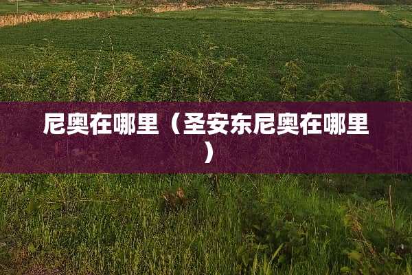 尼奥在哪里（圣安东尼奥在哪里）