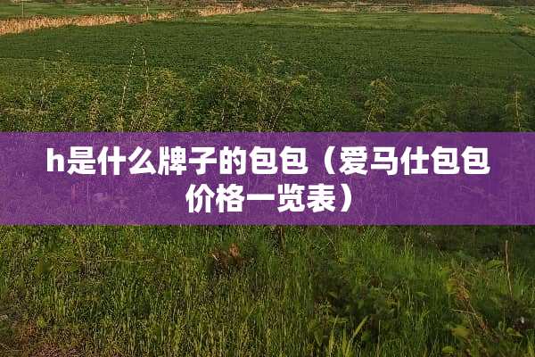 h是什么牌子的包包（爱马仕包包价格一览表）