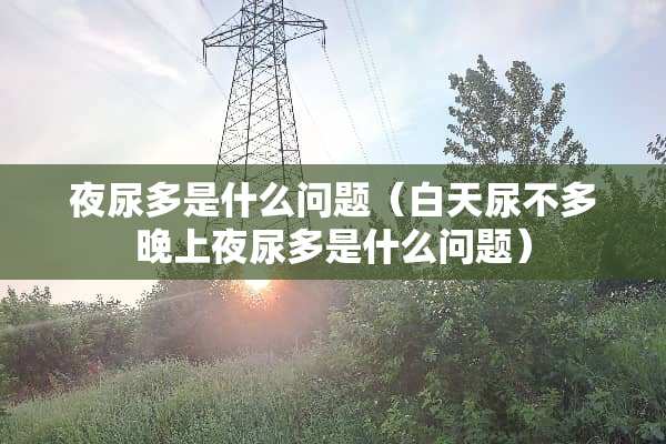 夜尿多是什么问题（白天尿不多晚上夜尿多是什么问题）