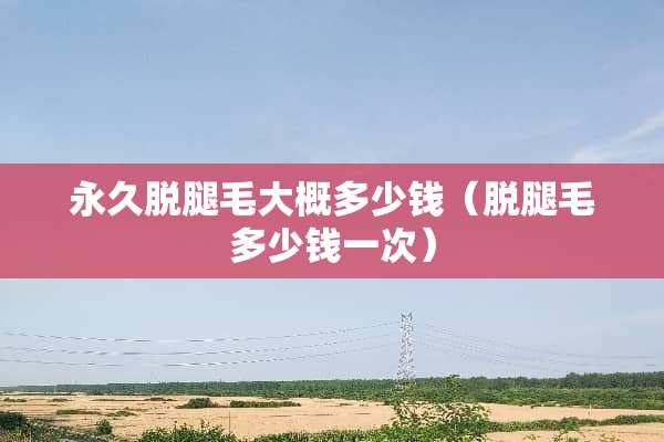 永久脱腿毛大概多少钱（脱腿毛多少钱一次）
