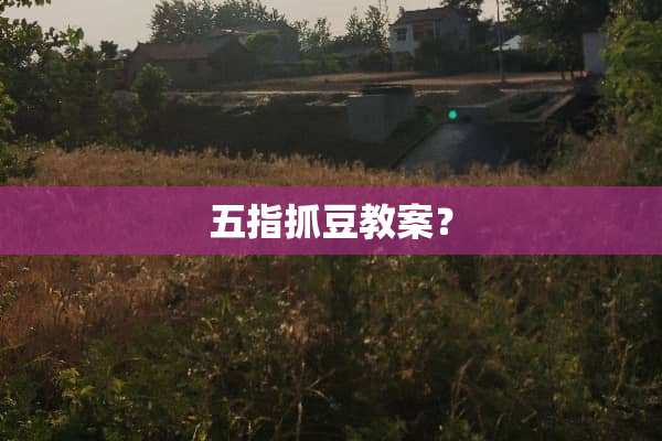 五指抓豆教案？