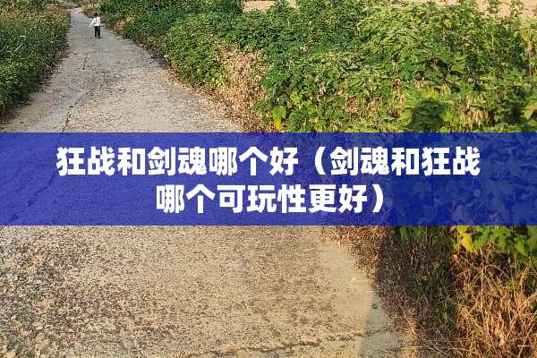 狂战和剑魂哪个好（剑魂和狂战哪个可玩性更好）