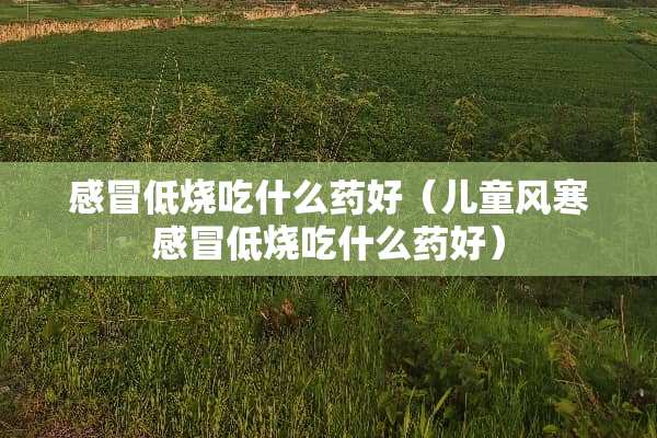 感冒低烧吃什么药好（儿童风寒感冒低烧吃什么药好）