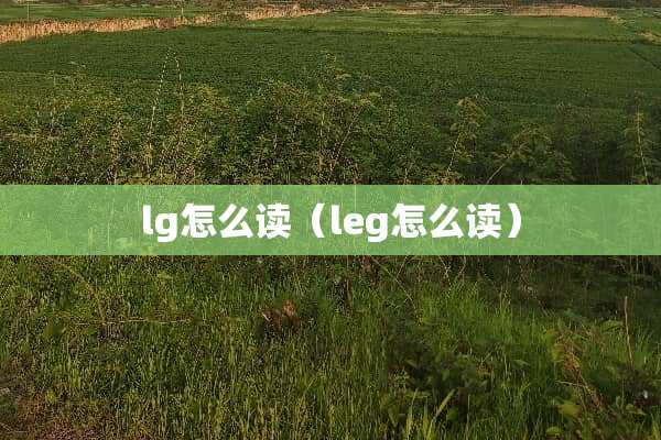 lg怎么读（leg怎么读）