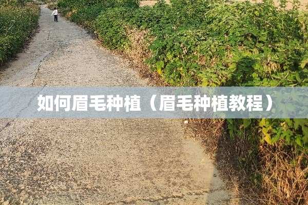 如何眉毛种植（眉毛种植教程）
