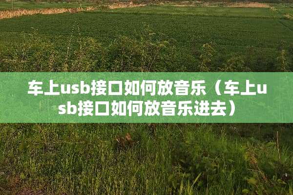 车上usb接口如何放音乐（车上usb接口如何放音乐进去）