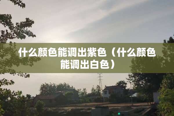 什么颜色能调出紫色（什么颜色能调出白色）