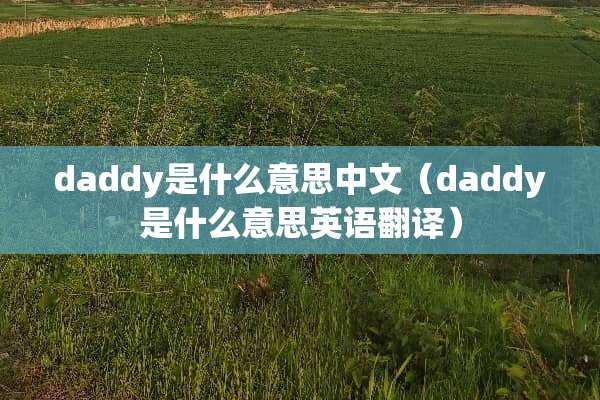 daddy是什么意思中文（daddy是什么意思英语翻译）