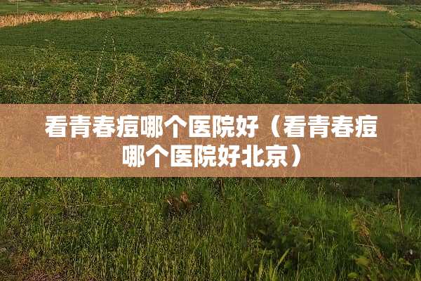 看青春痘哪个医院好（看青春痘哪个医院好北京）