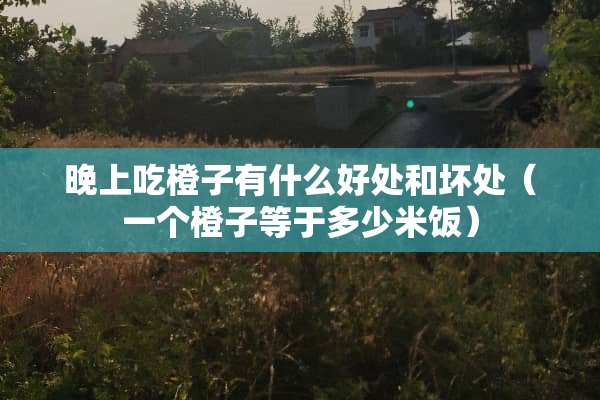 晚上吃橙子有什么好处和坏处（一个橙子等于多少米饭）