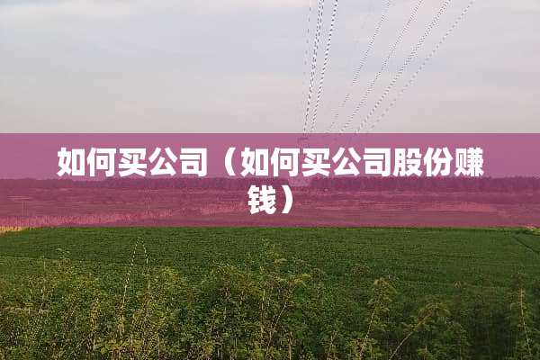 如何买公司（如何买公司股份赚钱）