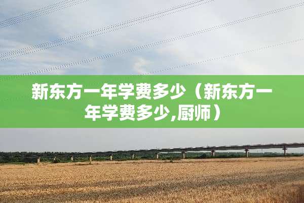 新东方一年学费多少（新东方一年学费多少,厨师）