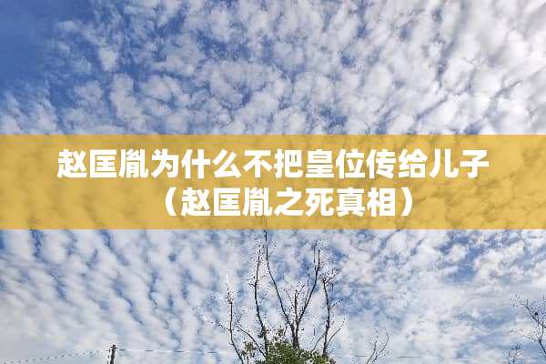 赵匡胤为什么不把皇位传给儿子（赵匡胤之死**）