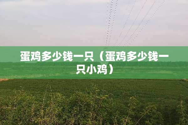 蛋鸡多少钱一只（蛋鸡多少钱一只小鸡）
