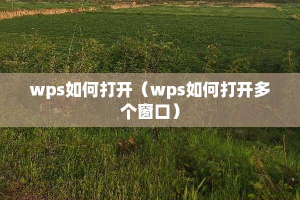wps如何打开（wps如何打开多个窗口）
