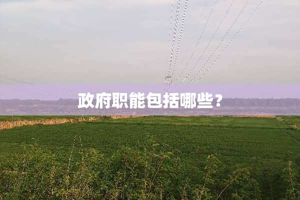 **职能包括哪些？