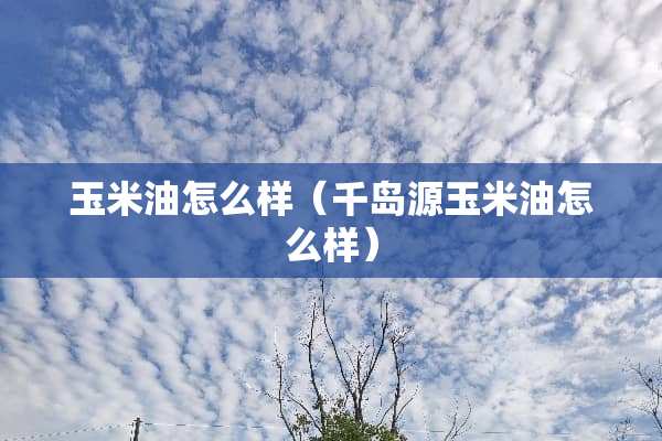 玉米油怎么样（千岛源玉米油怎么样）