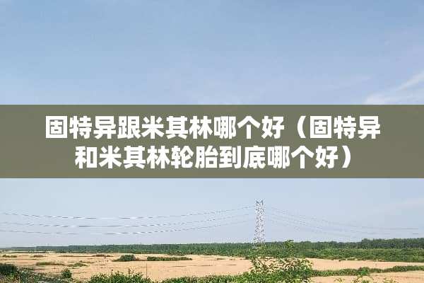 固特异跟米其林哪个好（固特异和米其林轮胎到底哪个好）