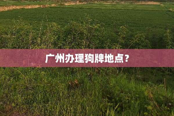 广州办理狗牌地点？