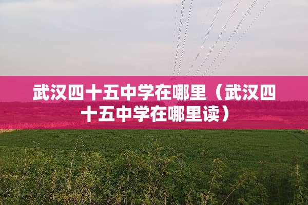 武汉四十五中学在哪里（武汉四十五中学在哪里读）