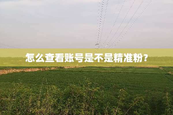 怎么查看账号是不是精准粉？