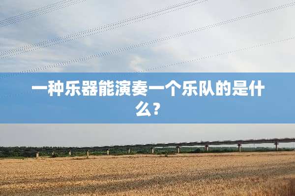 一种乐器能演奏一个乐队的是什么？