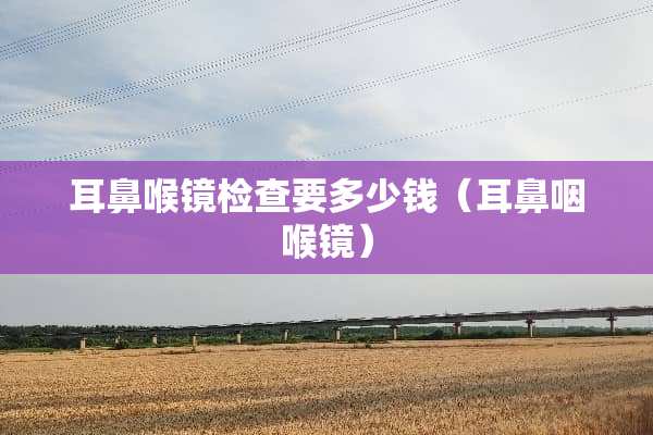 耳鼻喉镜检查要多少钱（耳鼻咽喉镜）