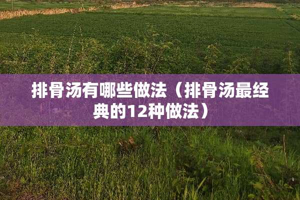 排骨汤有哪些做法（排骨汤最经典的12种做法）