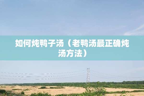 如何炖鸭子汤（老鸭汤最正确炖汤方法）